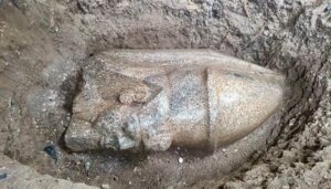Un agricultor egipcio halla una piedra rosa y destapa restos de dos estatuas colosales de Ramsés II