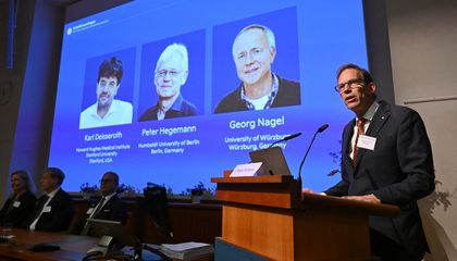 Nobel de Medicina 2026 reconoce a los creadores de la optogenética