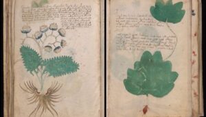 Un nuevo estudio sugiere que el Manuscrito Voynich pudo ser encuadernado fuera de orden